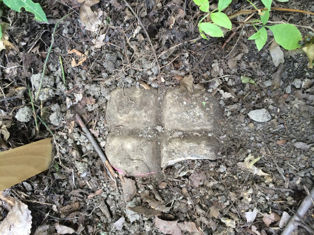 Jason Graves, Professional Licensed Land Surveyor, found this historic stone while surveying on Southern Parkway in South Louisville. Century Land Surveying